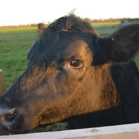 3 Bed In Thirsk Oc-40351 Holiday home