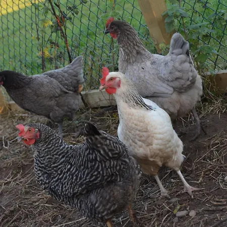 3 Bed In Thirsk 40351 *